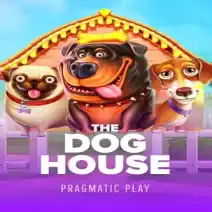The Dog House gioca